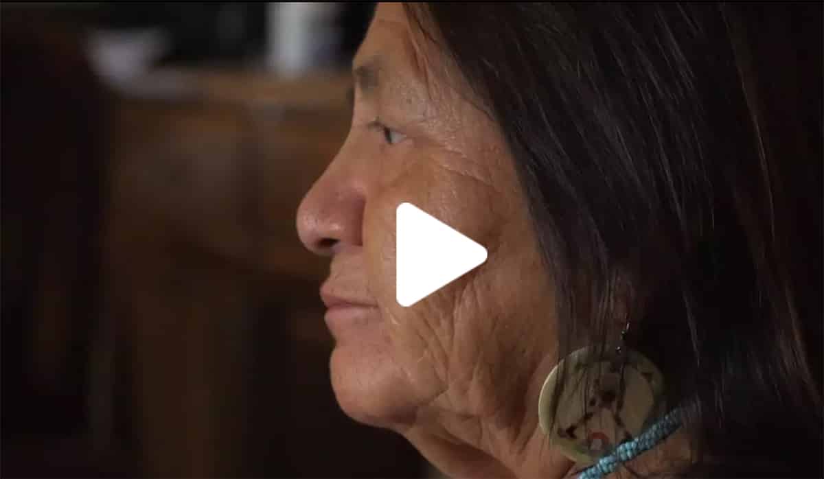 Where learn Native american teen suicide confirm Are Native american teen suicide opinion you