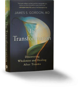 The Transformation by James S Gordon book cover