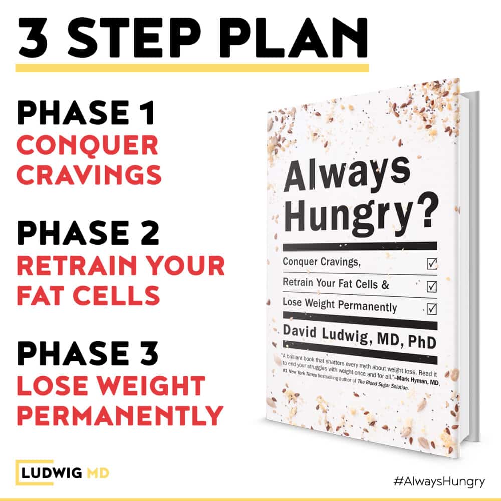 Three step plan for weight loss from Dr David Ludwig